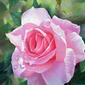 Meet your Posher, Marlene fisher